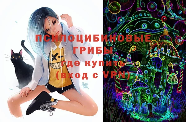 амф Белокуриха
