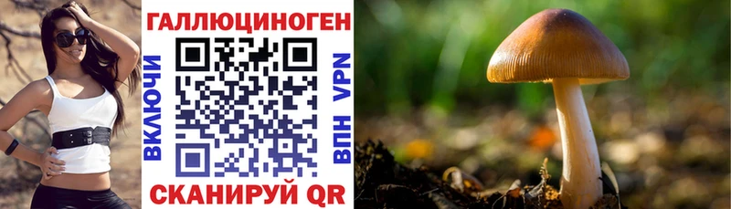 Галлюциногенные грибы прущие грибы  цены наркотик  Невель 