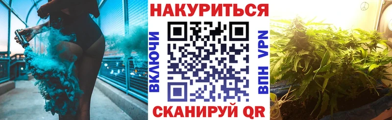 Бошки Шишки Amnesia  Невель 